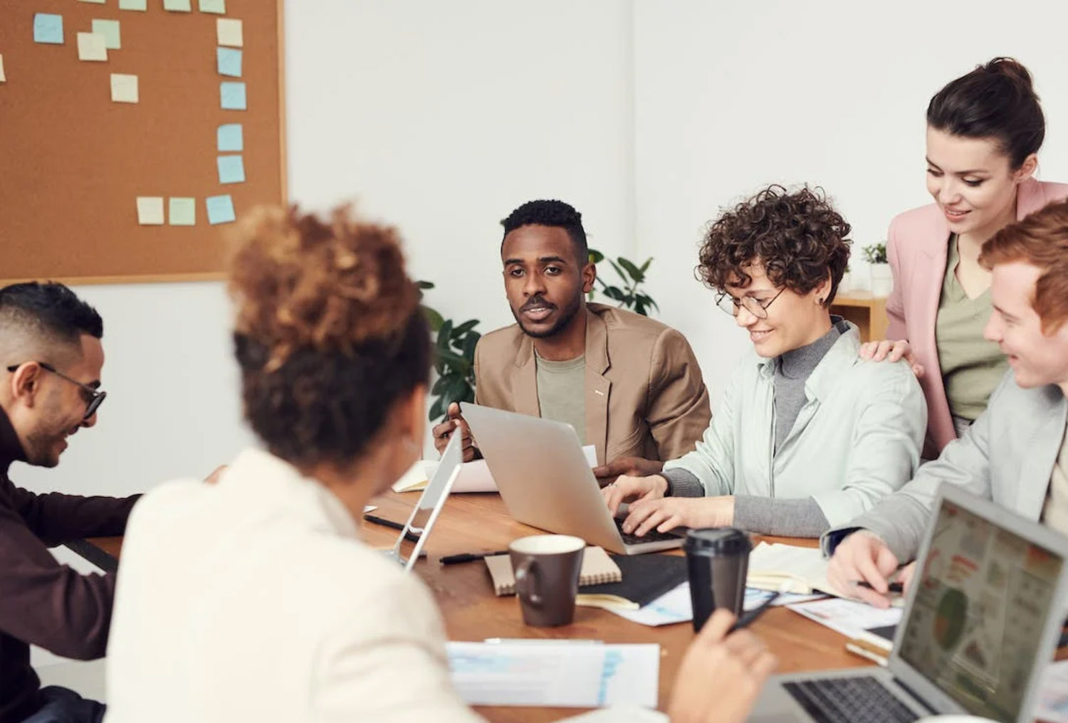 Modulo del corso di formazione esperienziale, come portare le costellazioni familiari in aziende, scuole e organizzazioni.